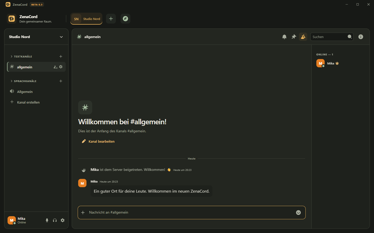 Vollständige ZenaCord-App mit Servernavigation, Kanälen und Textchat mit Beispieldaten